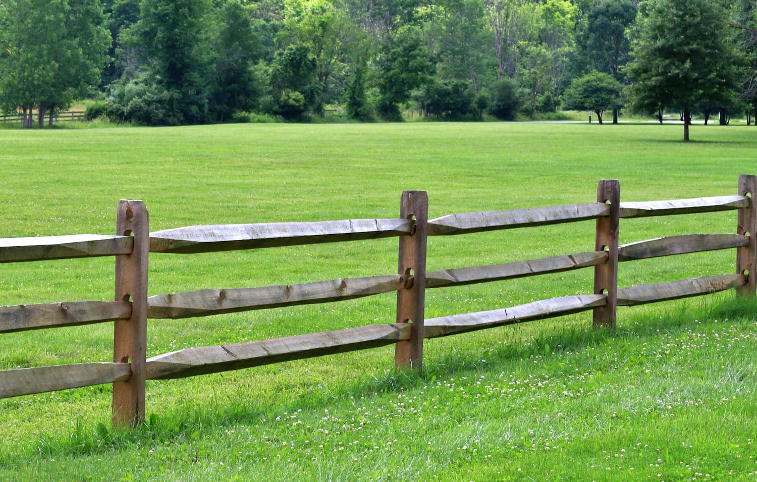 Post and rail fence along a grassy property edge
